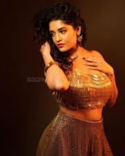 Sexy Ritika Singh in a Golden Metallic Crop Top Pictures 04