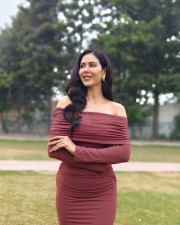 Sexy Sonam Bajwa in a Brown Off Shoulder Bodycon Dress Pictures 03