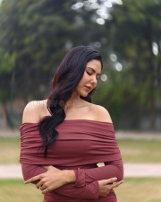 Sexy Sonam Bajwa in a Brown Off Shoulder Bodycon Dress Pictures 04