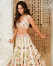 Sexy Sonam Bajwa in a Traditional Dress Photo 01