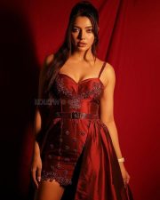 Sophisticated Ruhi Singh in a Maroon Corset Blouse with a Draped Skirt at Zee Cine Awards Photos 02