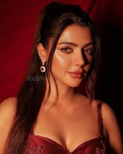 Sophisticated Ruhi Singh in a Maroon Corset Blouse with a Draped Skirt at Zee Cine Awards Photos 03