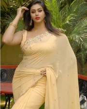 South Siren Namitha Saree Pictures 02