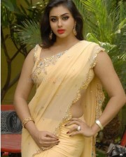 South Siren Namitha Saree Pictures 04