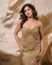 Sparkling Actress Sakshi Malik in a Gold Sequin Strapless Gown Photos 03