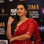 Sruthi Hariharan at SIIMA Awards 2021 Day 2 Photos 03 Sruthi Hariharan at SIIMA Awards 2021 Day 2 Photos 03