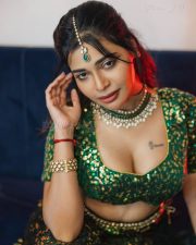 Stunning Dharsha Gupta Cleavage in a Shimmery Green Blouse Pictures 03