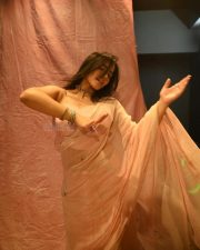 Stunning Ketika Sharma in a Blush Pink Saree Photos 01