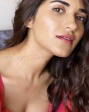 Stunning Ruhani Sharma Red Hot Pictures 03