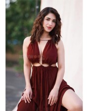 Stunning and Hot Ruhani Sharma in a Brown Dress Pictures 01