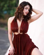 Stunning and Hot Ruhani Sharma in a Brown Dress Pictures 02