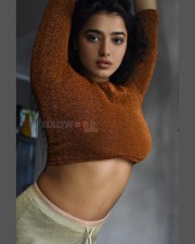 Super Sexy Ketika Sharma in a Brown Top Photos 01