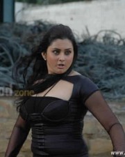 Tamil Actress Namitha Hot Pictures 28