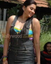Tamil Actress Namitha Hot Pictures 33