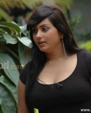 Tamil Actress Namitha Hot Pictures 42