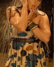 Telugu Actress Namitha Hot Stills 04