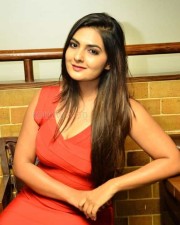 Telugu Actress Neha Deshpande Orange Dress Pictures 12