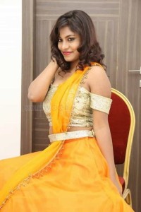 Telugu Actress Priyanka Augustin Pictures 05