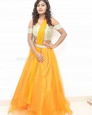Telugu Actress Priyanka Augustin Pictures 06