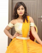 Telugu Actress Priyanka Augustin Pictures 07