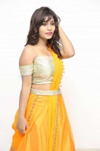 Telugu Actress Priyanka Augustin Pictures 08