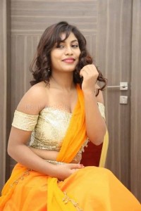 Telugu Actress Priyanka Augustin Pictures 09