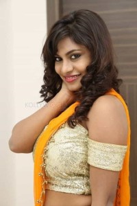 Telugu Actress Priyanka Augustin Pictures 10