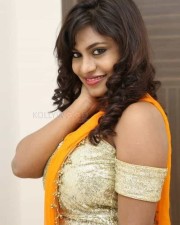 Telugu Actress Priyanka Augustin Pictures 10