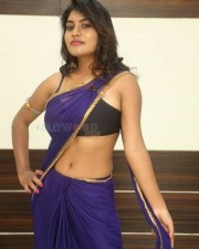Telugu Actress Priyanka Augustin Sexy Saree Photos 13