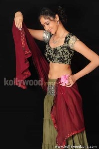 Telugu Actress Sindhu Affan Sexy Photos 21