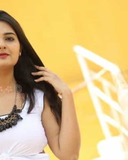 Tollywood Sexy Beauty Neha Deshpande Pictures 09