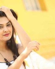 Tollywood Sexy Beauty Neha Deshpande Pictures 17