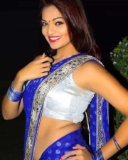 Actress Ashwini Spicy Saree Photos 02 Actress Ashwini Spicy Saree Photos 02