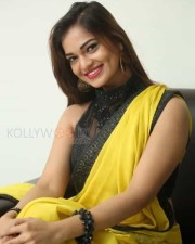 Actress Aswini Beautiful Yellow Saree Photos 53