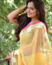 Actress Aswini Hot Saree Cleavage Pictures 45