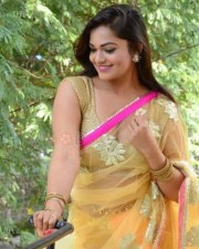 Actress Aswini Hot Saree Cleavage Pictures 48
