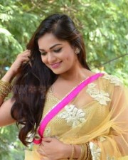 Actress Aswini Hot Saree Cleavage Pictures 52