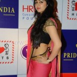 Actress Charmee At Ccl 5 Charity Dinner Event Stills 10 Actress Charmee At Ccl 5 Charity Dinner Event Stills 10