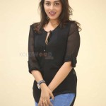 Actress Madhu Shalini At Goodachari Movie Success Meet Photos 24 Actress Madhu Shalini At Goodachari Movie Success Meet Photos 24