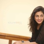 Actress Madhu Shalini At Goodachari Movie Success Meet Photos 31 Actress Madhu Shalini At Goodachari Movie Success Meet Photos 31