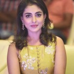 Actress Madhu Shalini At Goodachari Pre release Event Photos 02 Actress Madhu Shalini At Goodachari Pre release Event Photos 02