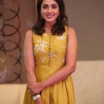 Actress Madhu Shalini At Goodachari Pre release Event Photos 08 Actress Madhu Shalini At Goodachari Pre release Event Photos 08