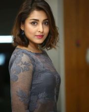 Actress Madhu Shalini at 9 Hours Web Series Interview Photos 25