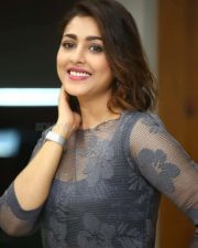 Actress Madhu Shalini at 9 Hours Web Series Interview Photos 30