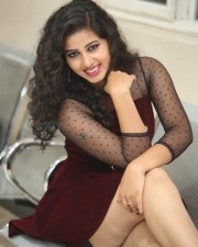 Actress Pavani At Moodu Puvvulu Aaru Kayalu Pre Release Event Photos 16