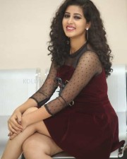 Actress Pavani At Moodu Puvvulu Aaru Kayalu Pre Release Event Photos 45