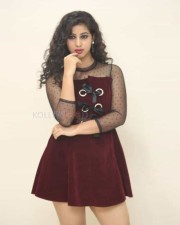 Actress Pavani At Moodu Puvvulu Aaru Kayalu Pre Release Event Photos 73