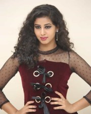 Actress Pavani At Moodu Puvvulu Aaru Kayalu Pre Release Event Photos 75