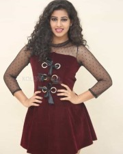 Actress Pavani At Moodu Puvvulu Aaru Kayalu Pre Release Event Photos 76