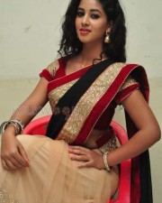 Actress Pavani Saree Pictures 12